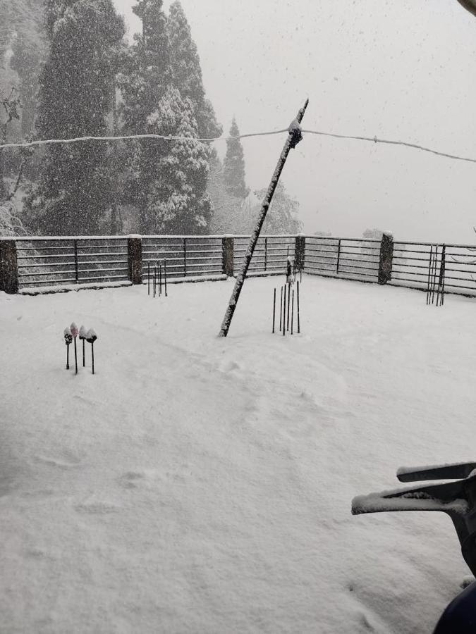 Mountain Chalet ダージリン エクステリア 写真